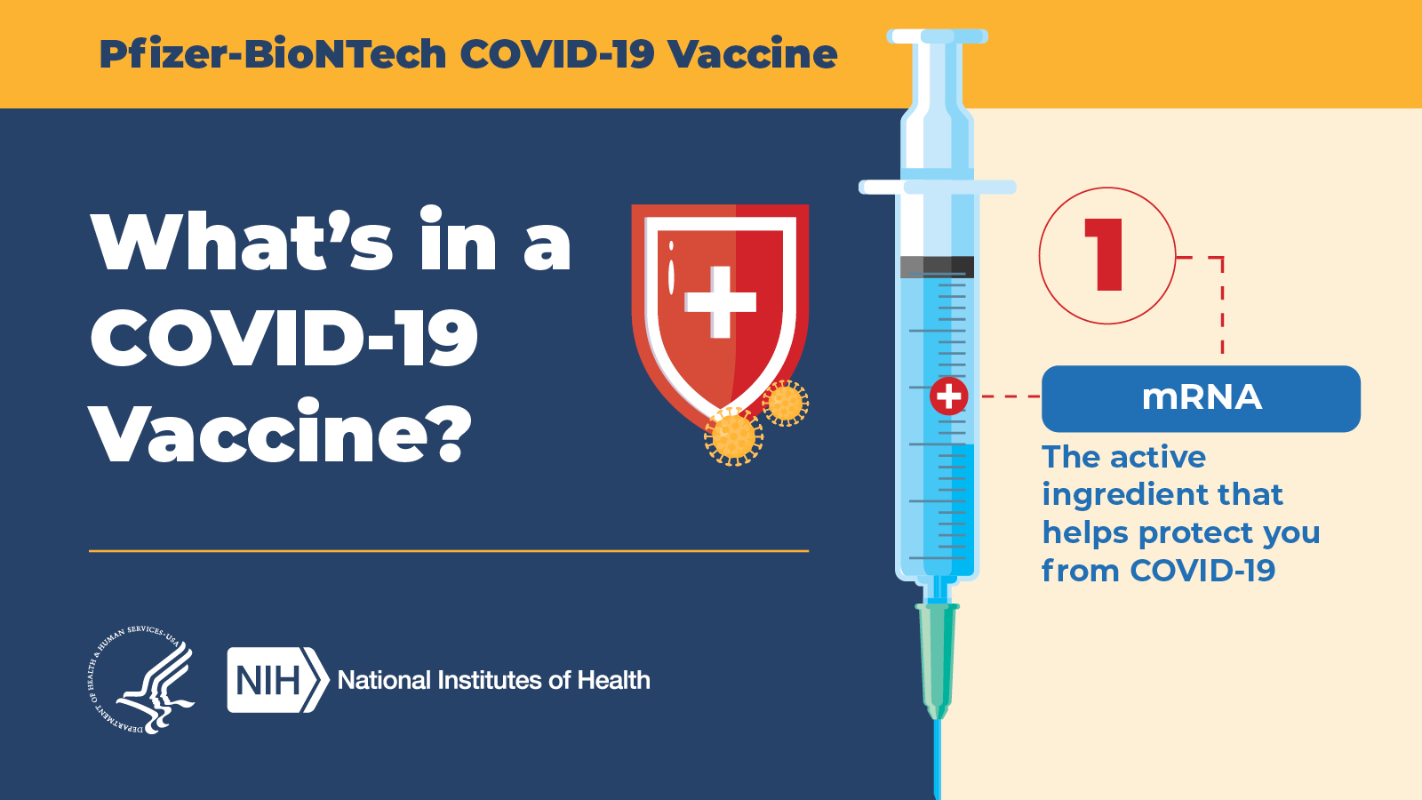 Pfizer-BioNTech COV ID-19 Vaccine  |  What's in a COVID-19 vaccine? 1: mRNA: The active ingredient that helps protect you from COVID-19