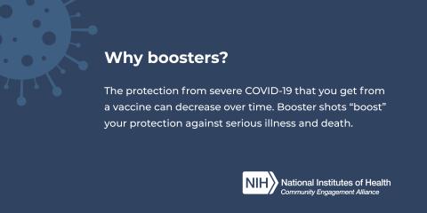 Which booster vaccine?