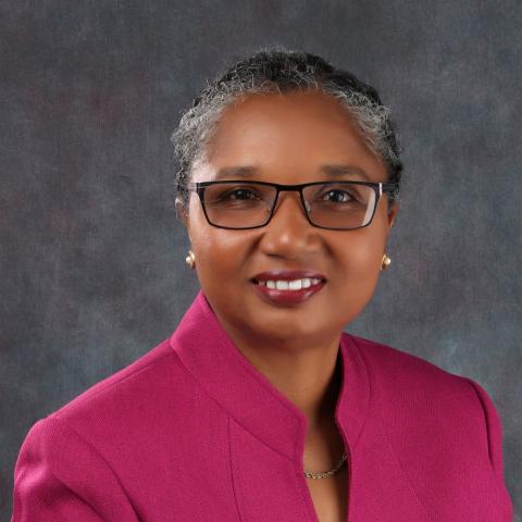 Dr. Jennifer Knight-Madden, Professor of Pediatric Pulmonology & Clinical Research, Director, Sickle Cell Unit, The Caribbean Institute for Health Research, The University of the West Indies